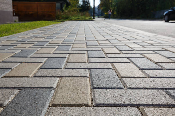 Best Driveway Paving Near Me  in Arnold, PA